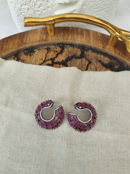 Taraash Hoops